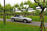 Le Jaguar nella zona del Prosecco e Cartize (89/152)